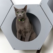 картинка Сота для настенного игрового комплекса для кошек с большим круглым окошком