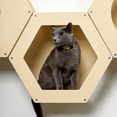 Сота для настенного игрового комплекса для кошек с шестигранным окошком
