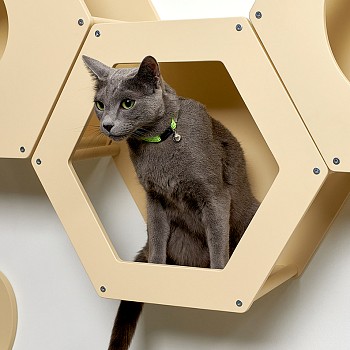 Сота для настенного игрового комплекса для кошек с шестигранным окошком, бежевый - Бренд Котомото