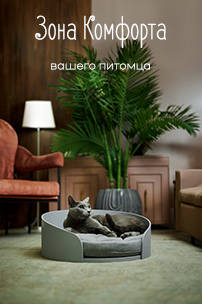 Зона комфорта