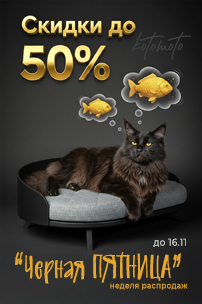 Черная пятница