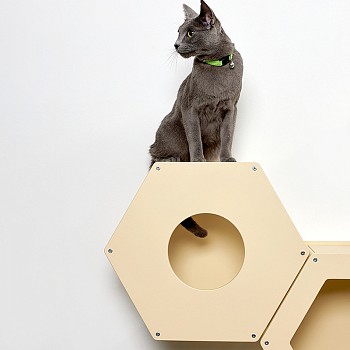 Сота для настенного игрового комплекса для кошек с маленьким круглым окошком, бежевый - бренд Котомото