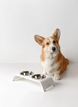 картинка Подставка с 2 мисками для кошек (белая)