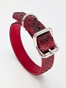 картинка Ошейник для собак мелких пород из натуральной кожи