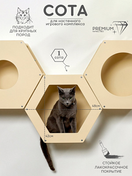 картинка Сота для настенного игрового комплекса для кошек с шестигранным окошком, бежевый (Сота для настенного игрового комплекса для кошек с шестигранным окошком, бежевый)