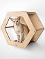 Сота из фанеры для настенного игрового комплекса для кошек с шестигранным окошком