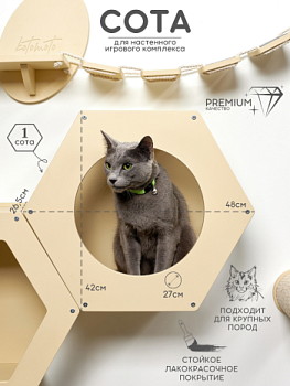 картинка Сота для настенного игрового комплекса для кошек с большим круглым окошком, бежевый (Сота для настенного игрового комплекса для кошек с большим круглым окошком, бежевый)