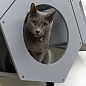 Сота для настенного игрового комплекса для кошек с большим круглым окошком, серый