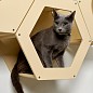 Сота для настенного игрового комплекса для кошек с шестигранным окошком, бежевый