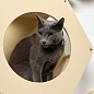 Сота для настенного игрового комплекса для кошек с большим круглым окошком, бежевый
