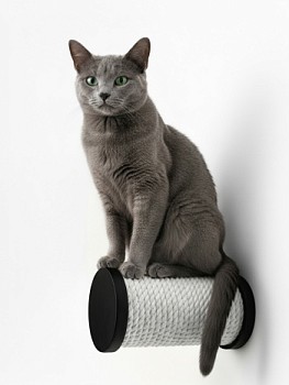 картинка Настенная когтеточка ступень с белым канатом 20см, черный (Настенная когтеточка ступень с белым канатом 20см, черный)