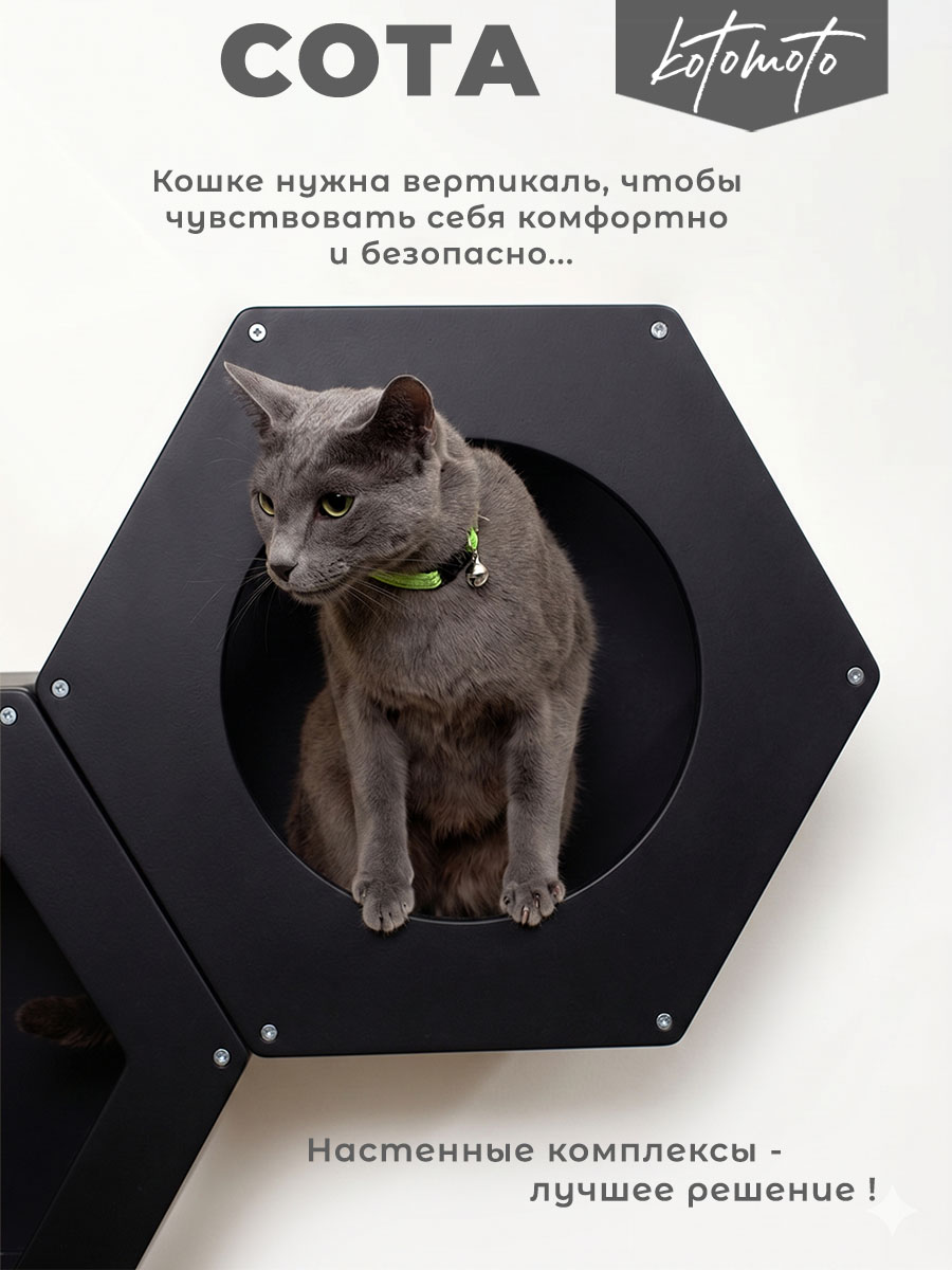 Сота для настенного игрового комплекса для кошек с большим круглым окошком, черный — изображение 3