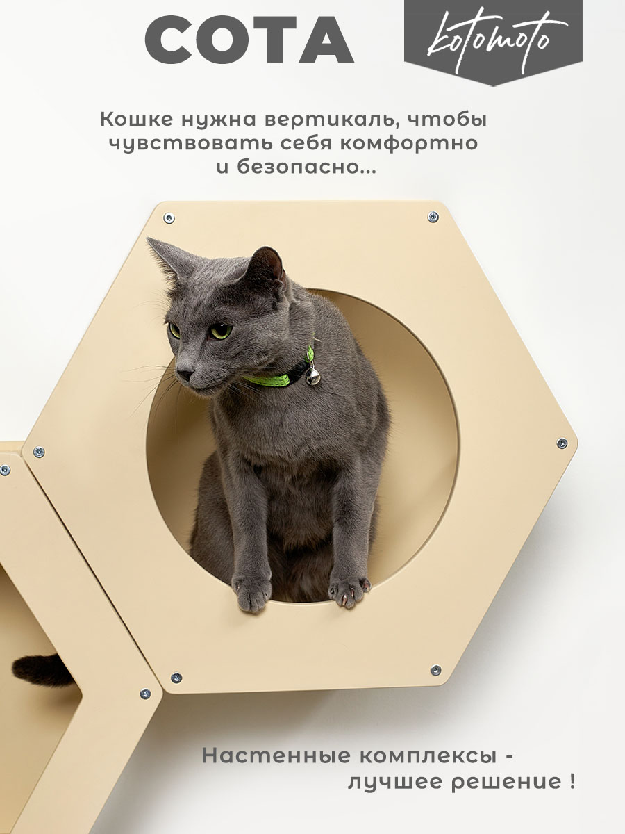 Сота для настенного игрового комплекса для кошек с большим круглым окошком, бежевый — изображение 3